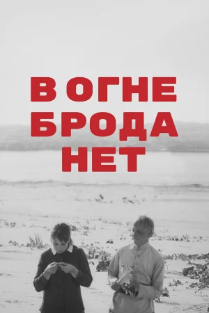 В огне брода нет 